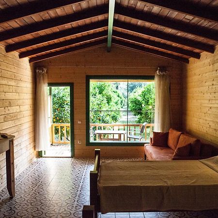 Ekinoks Hotel - Adults Only Çıralı Pokój zdjęcie