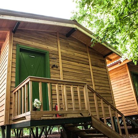 Ekinoks Hotel - Adults Only Çıralı Zewnętrze zdjęcie
