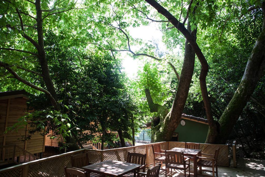 Ekinoks Hotel - Adults Only Çıralı Zewnętrze zdjęcie